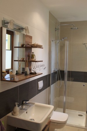 IMG_1525 Boden und Wandfliesen kombiniert